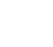 dolly dugme logo